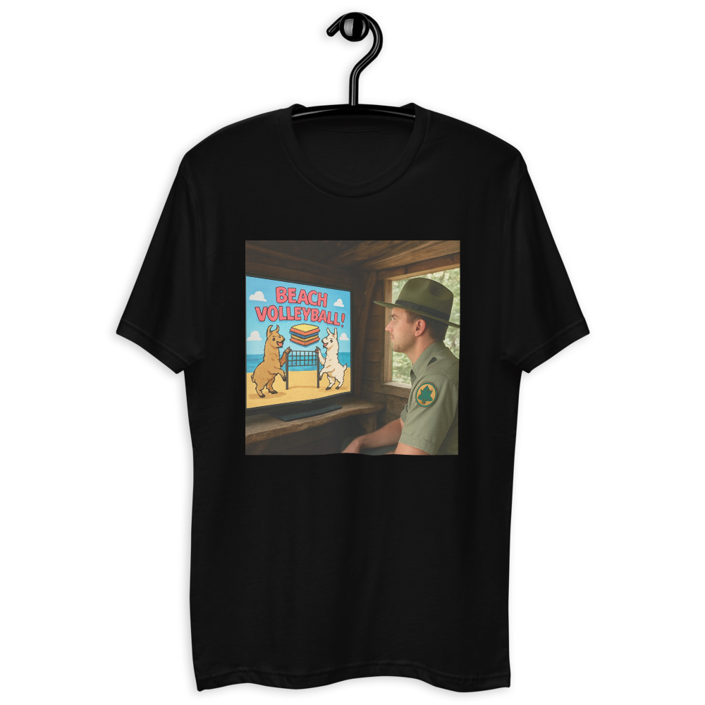 Treehouse Ranger Beach Match view 3