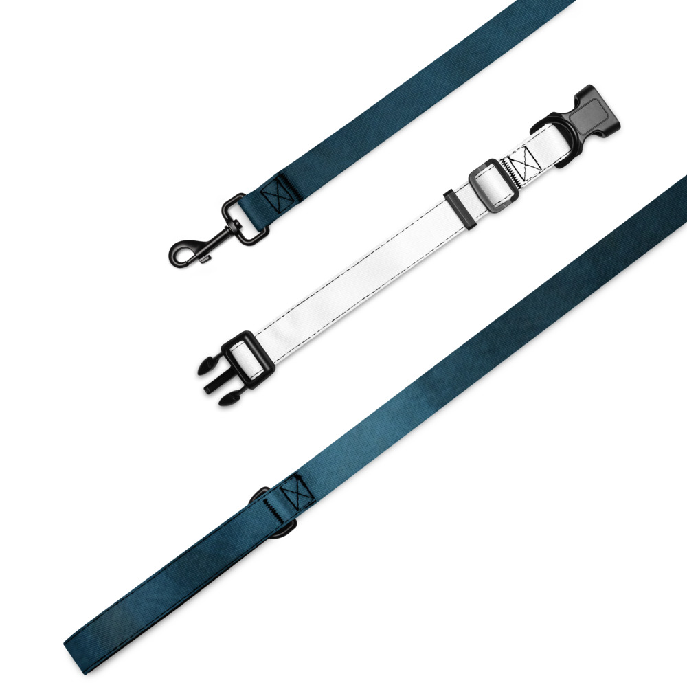 Floating Relics of the Fair