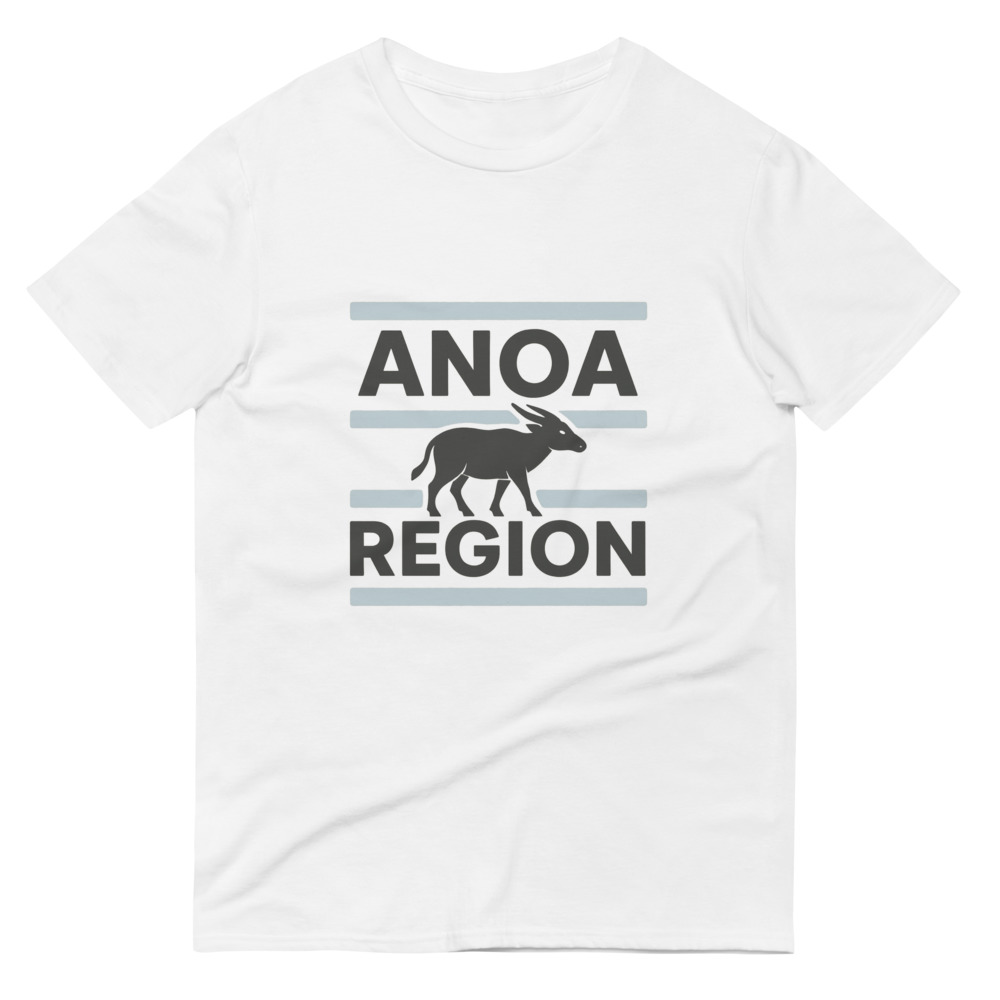 ANOA Region Blue Stripe Crewneck