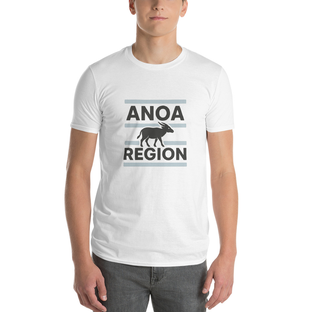 ANOA Region Blue Stripe Crewneck view 2