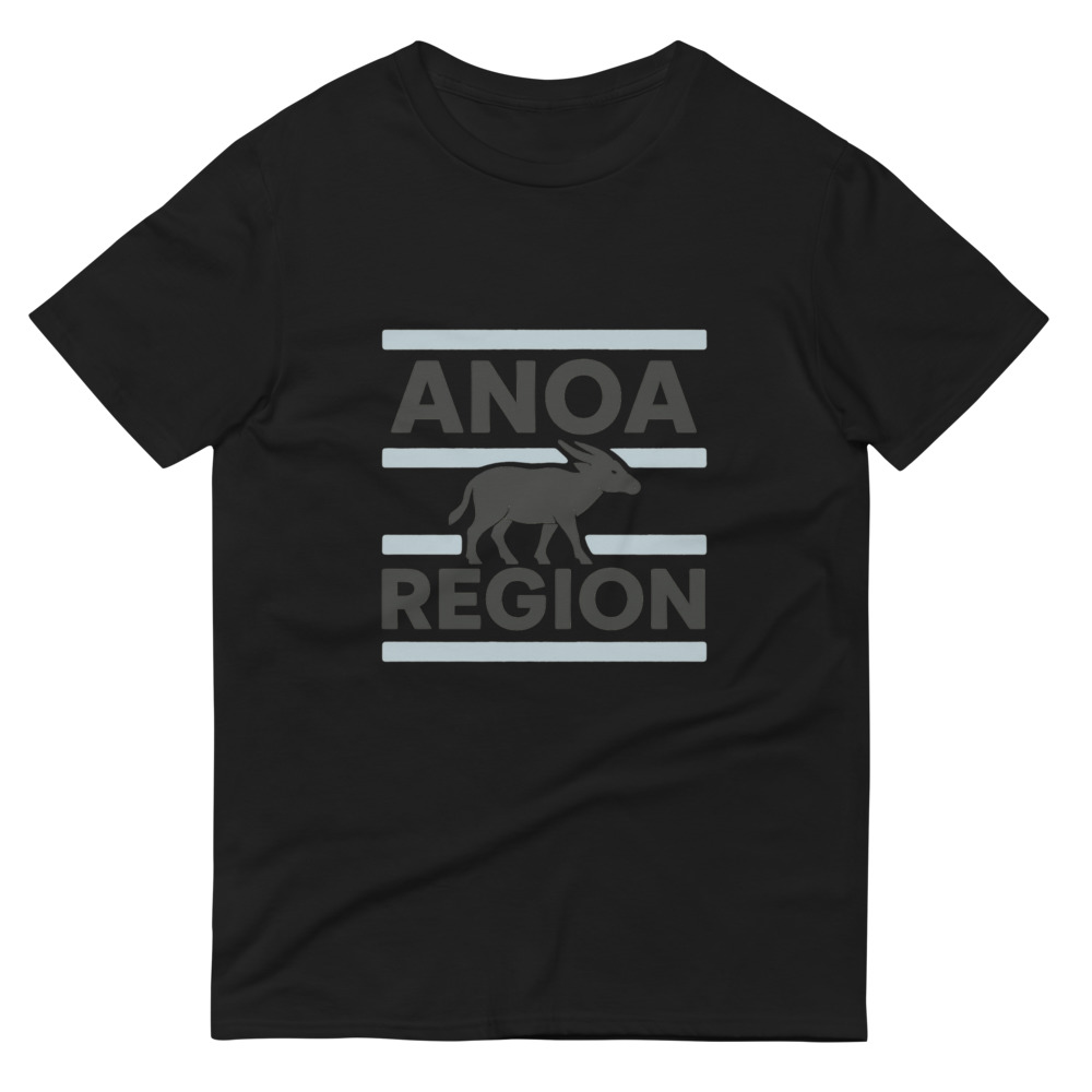 ANOA Region Blue Stripe Crewneck view 3