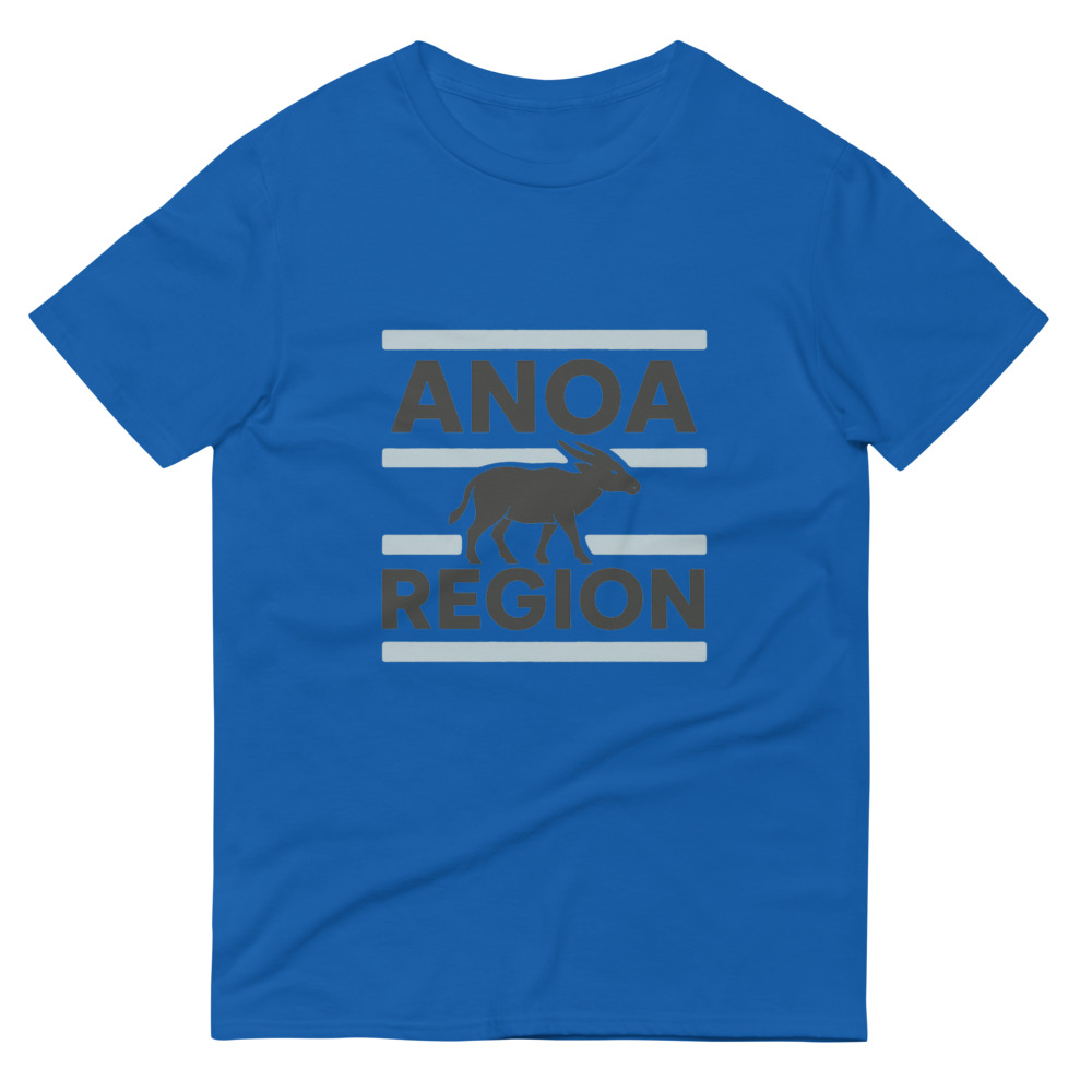 ANOA Region Blue Stripe Crewneck view 6