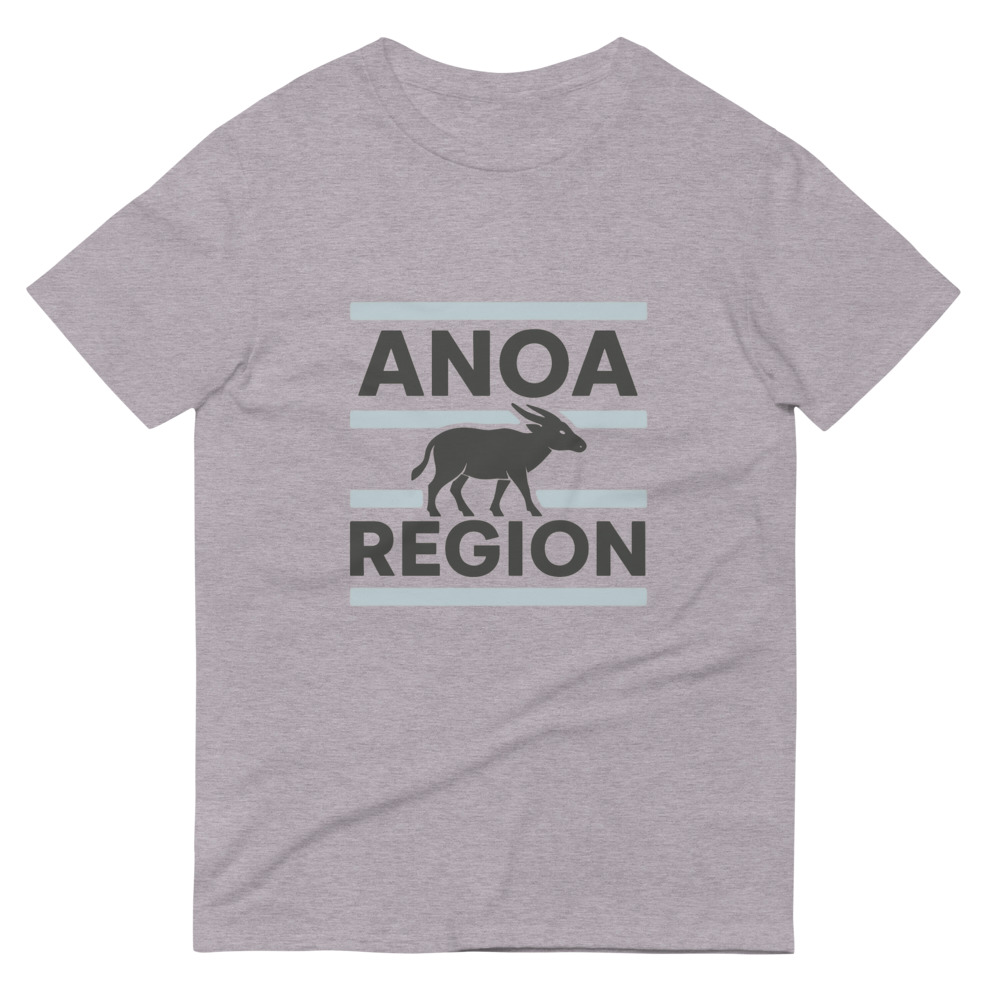 ANOA Region Blue Stripe Crewneck view 5